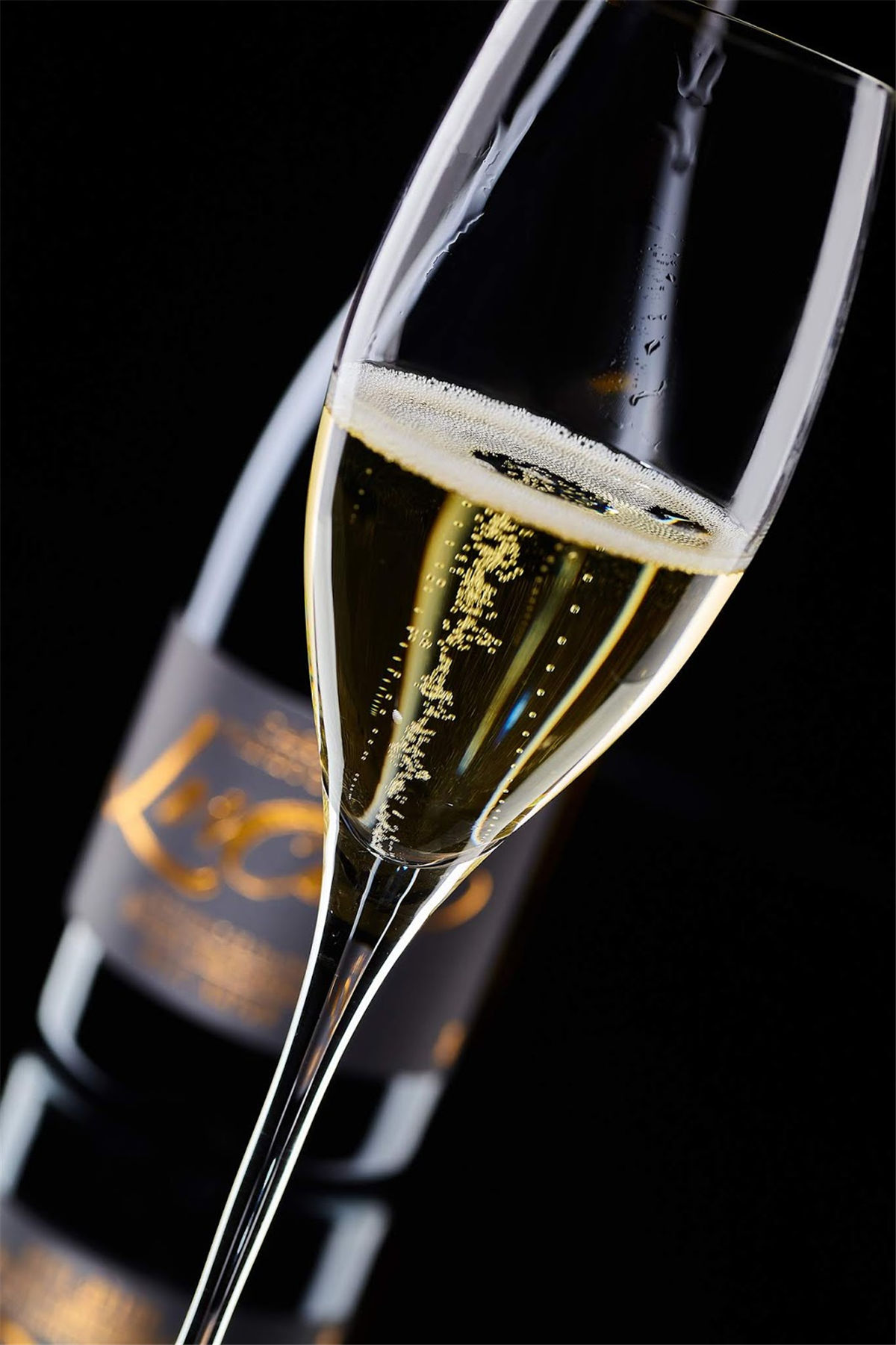 紅酒包裝設計參考(圖3)