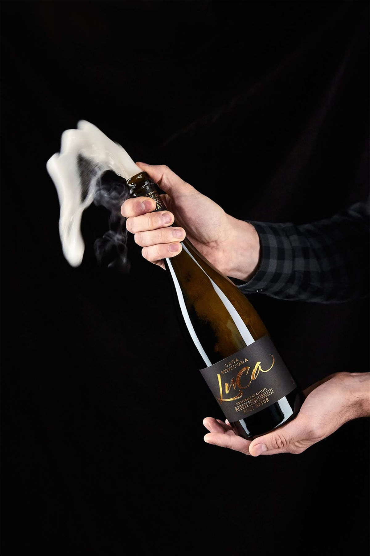 紅酒包裝設計參考(圖11)