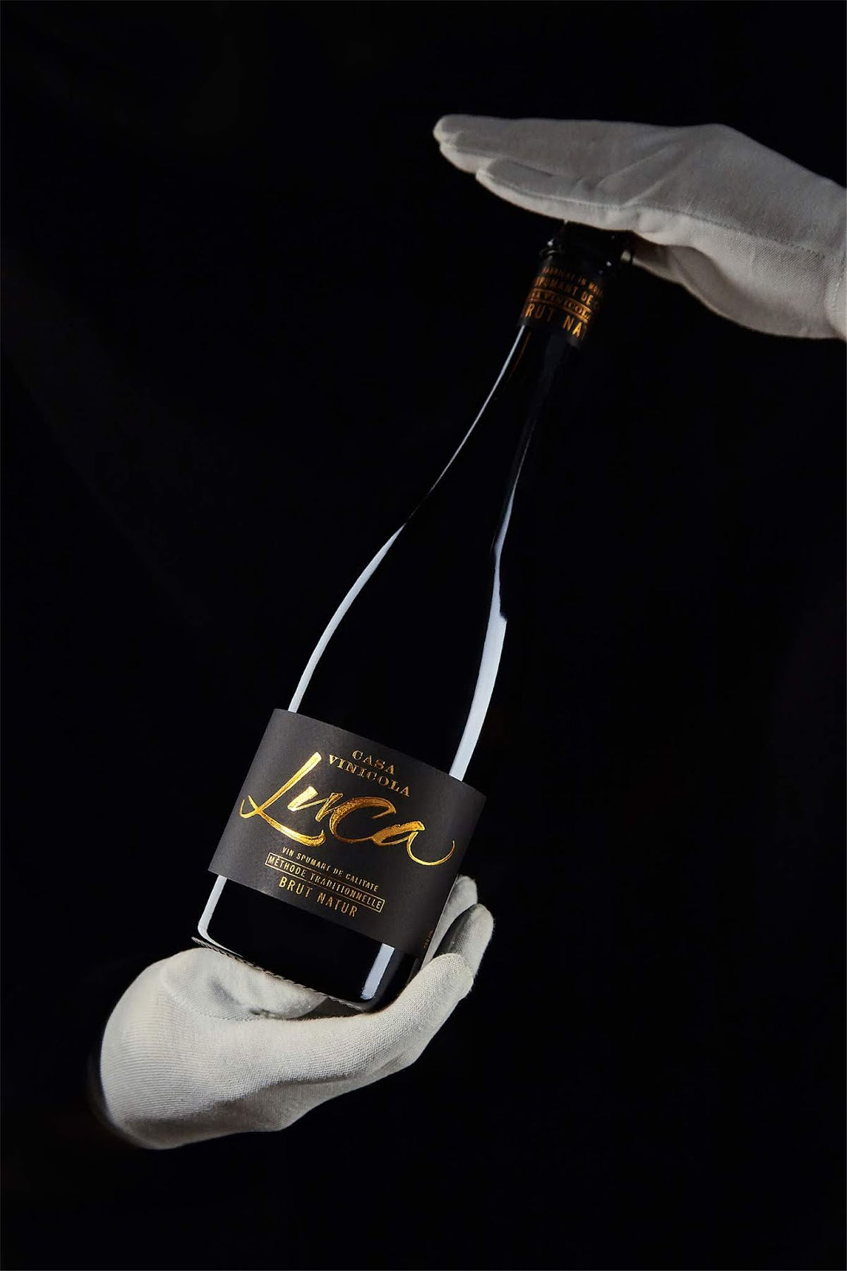 紅酒包裝設計參考(圖12)