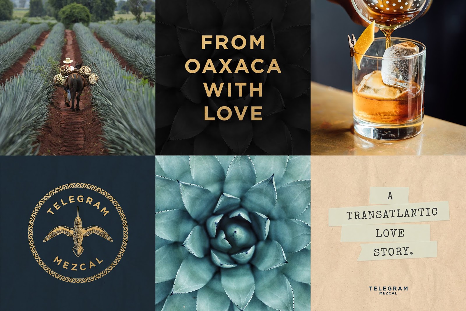 西安酒包裝設計參考(圖4)