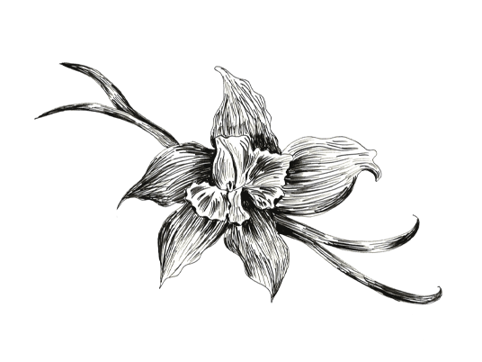 高端醬料包裝設計參考(圖3)