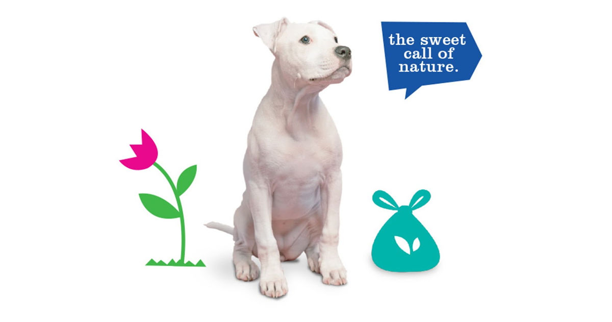 寵物包裝設計欣賞用品品牌包裝設計(圖10)