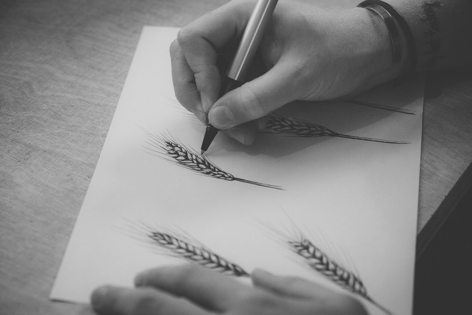 年輕化白酒包裝設計(圖6) 年輕化白酒包裝設計(圖6)