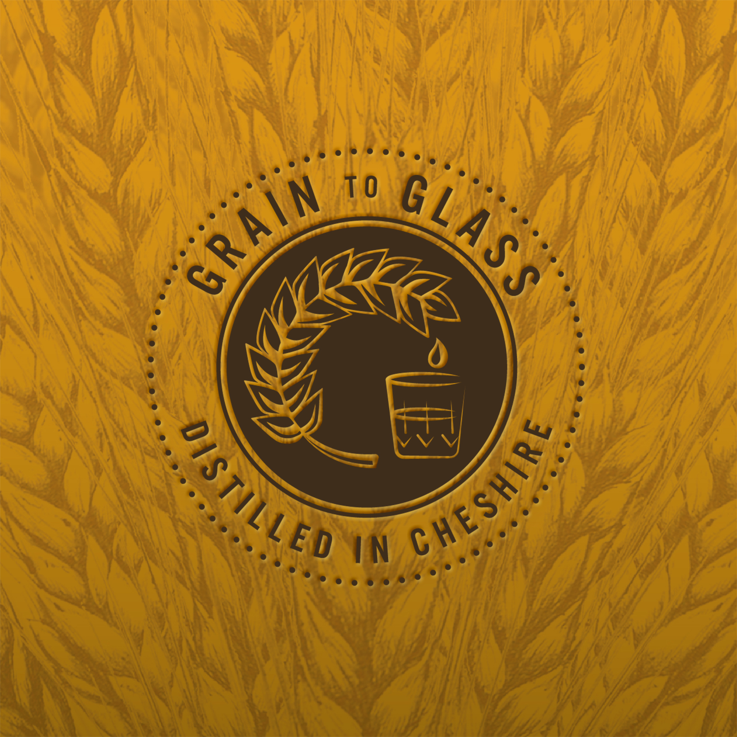 年輕化白酒包裝設計(圖9) 年輕化白酒包裝設計(圖9)