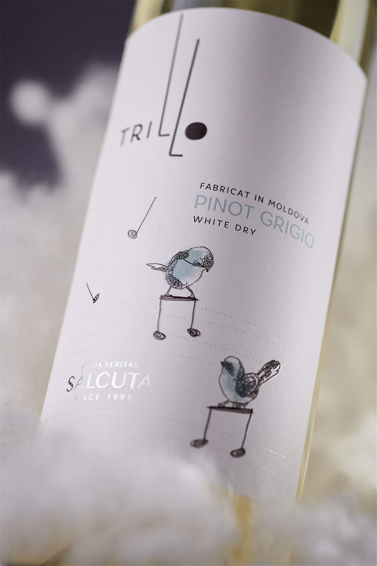 年輕葡萄酒包裝設(shè)計(圖2) 年輕葡萄酒包裝設(shè)計(圖2)