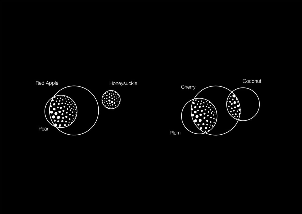 紅酒包裝設(shè)計(jì)(圖5)