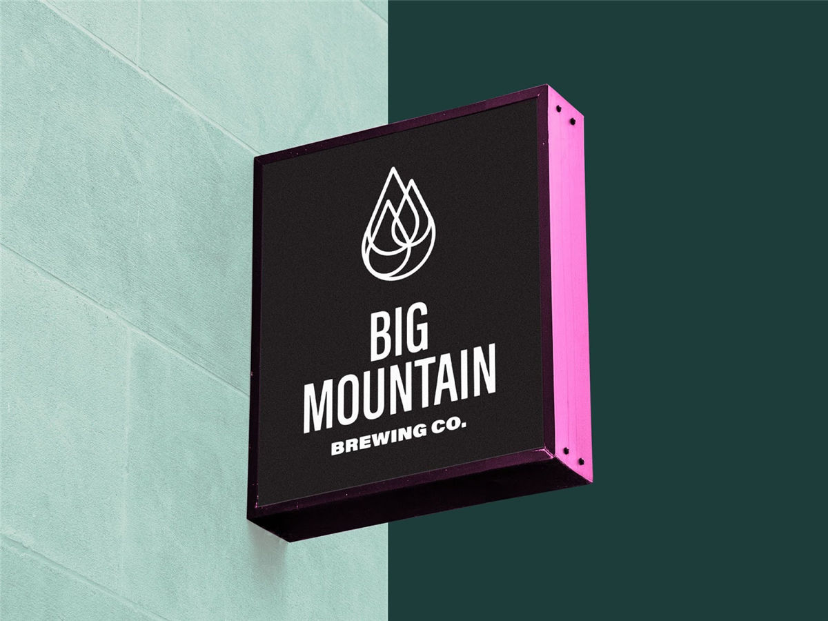 精釀啤酒包裝設計(圖4)