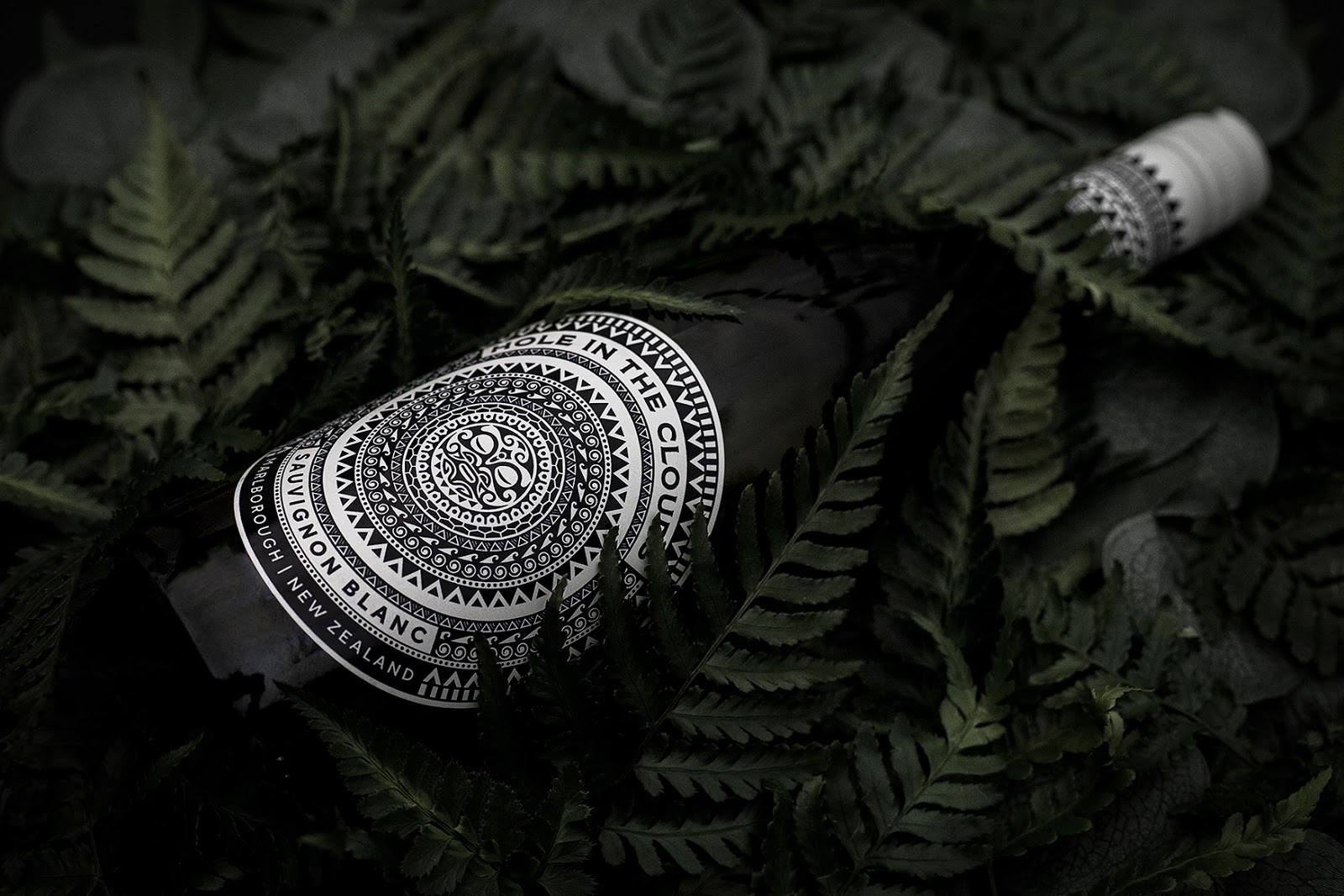 廣州紅酒包裝設計(圖2)