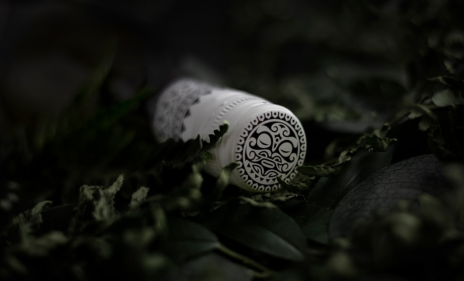 廣州紅酒包裝設計(圖3)