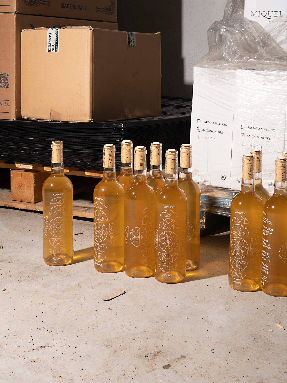 深圳葡萄酒包裝設計欣賞(圖2) 深圳葡萄酒包裝設計欣賞(圖2)