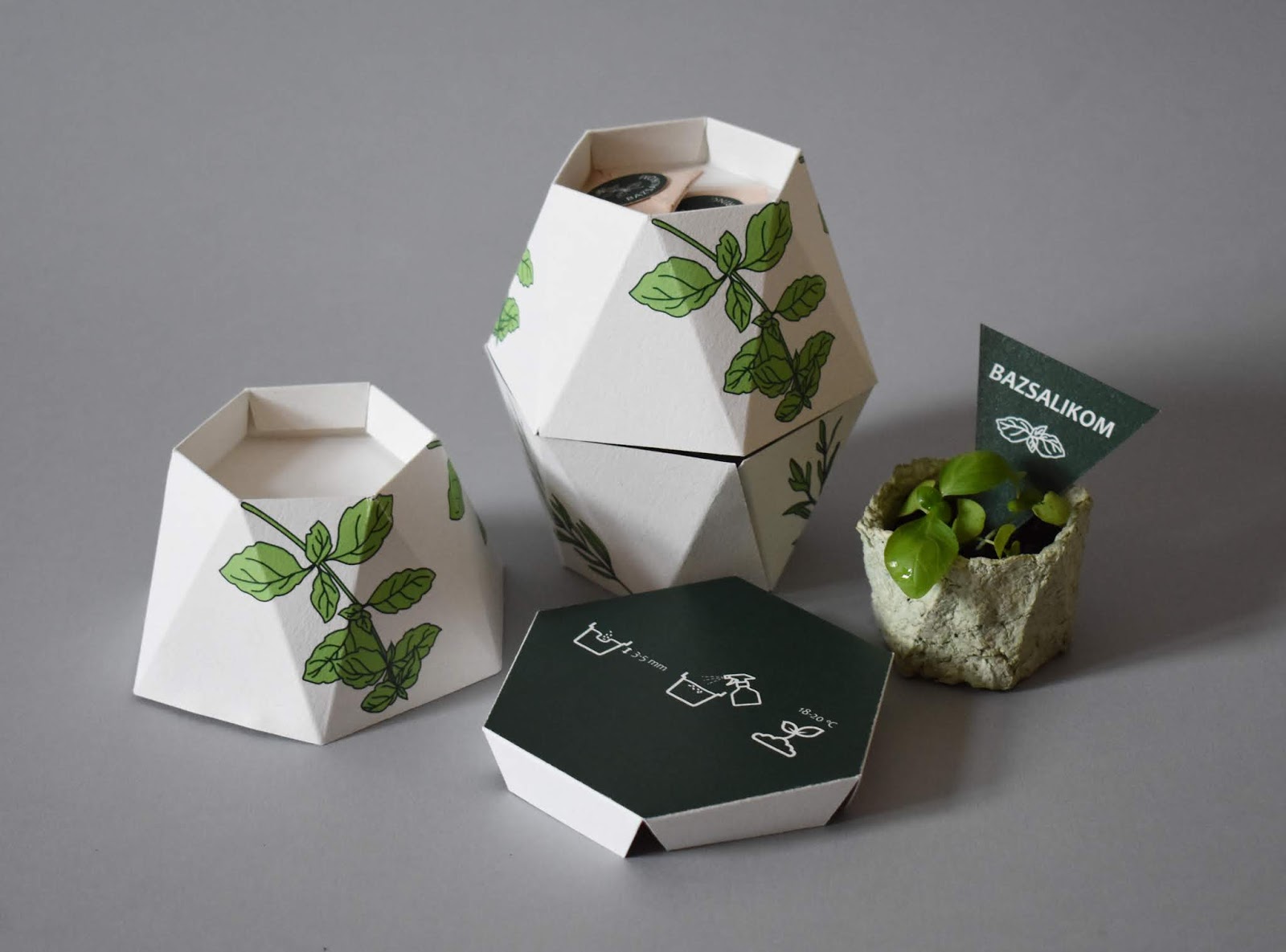 鮮花種子禮盒包裝設計(圖1) 鮮花種子禮盒包裝設計(圖1)