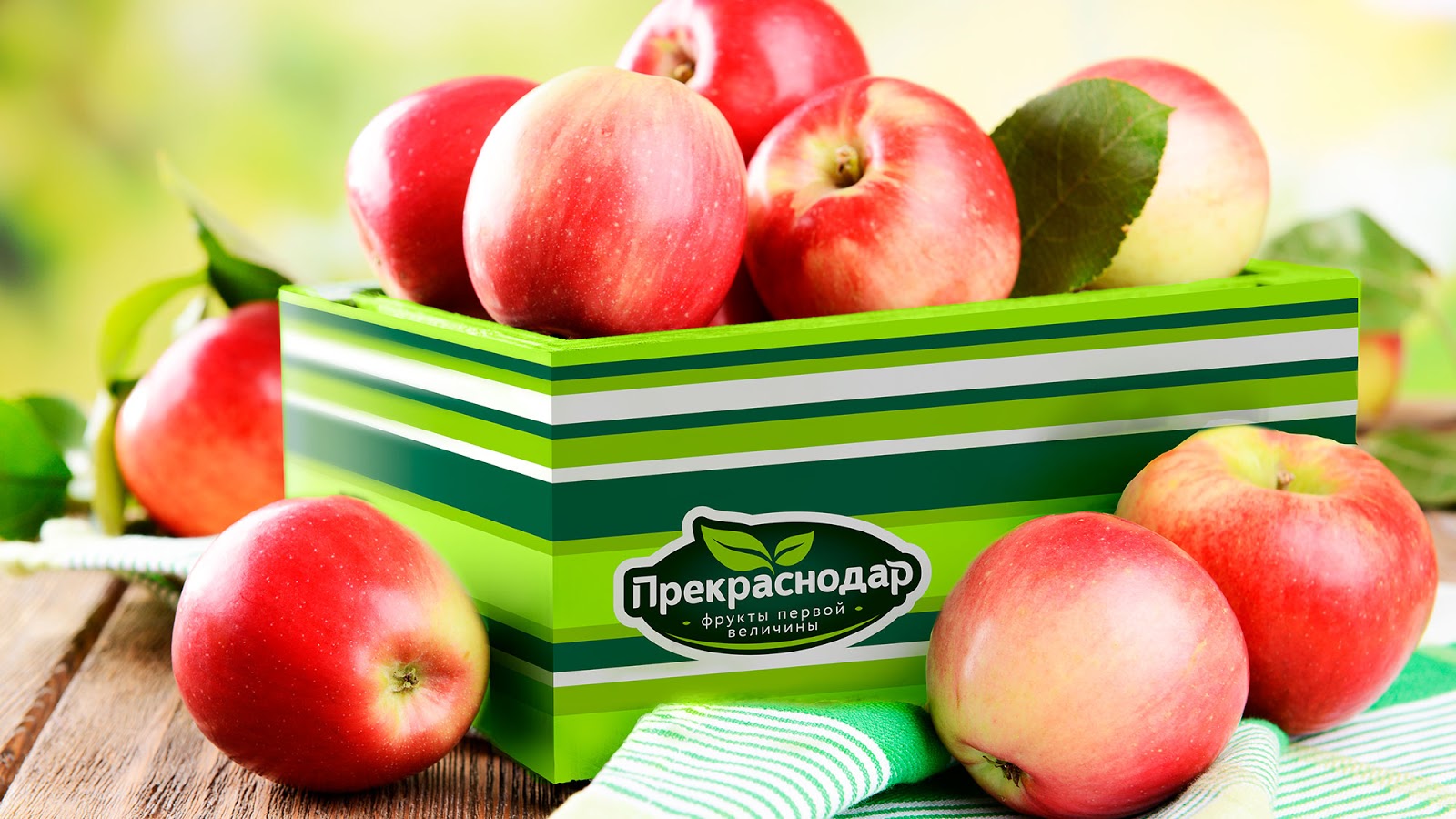 青島產品包裝設計(圖5)