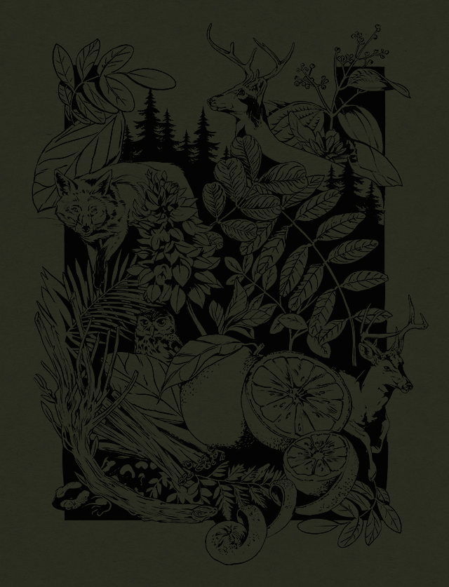 寧波酒包裝設計(圖4)