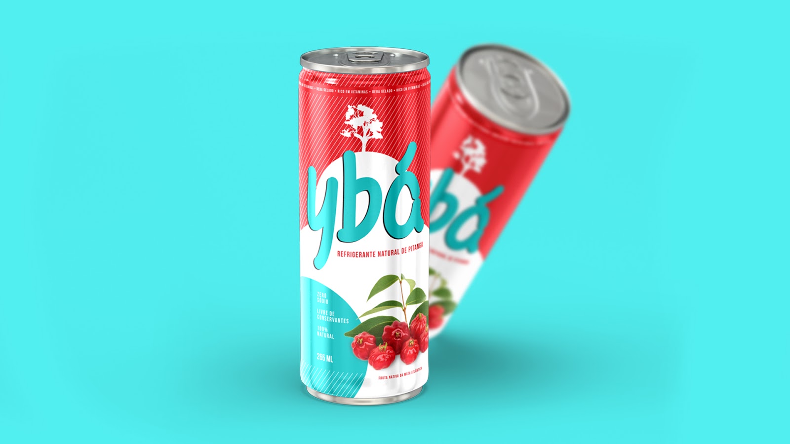 嘉興果汁品牌包裝設計(圖5)