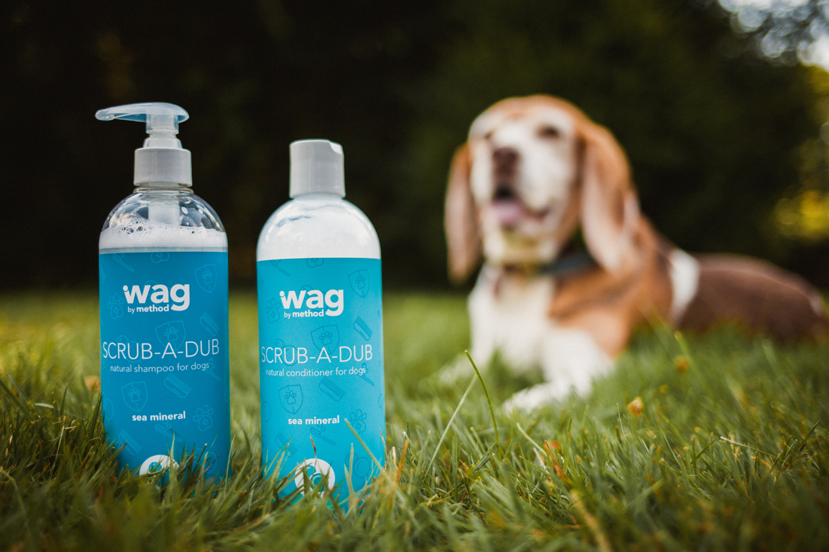 寵物包裝設(shè)計欣賞用品品牌包裝設(shè)計案例(圖1) 寵物包裝設(shè)計欣賞用品品牌包裝設(shè)計案例(圖1)