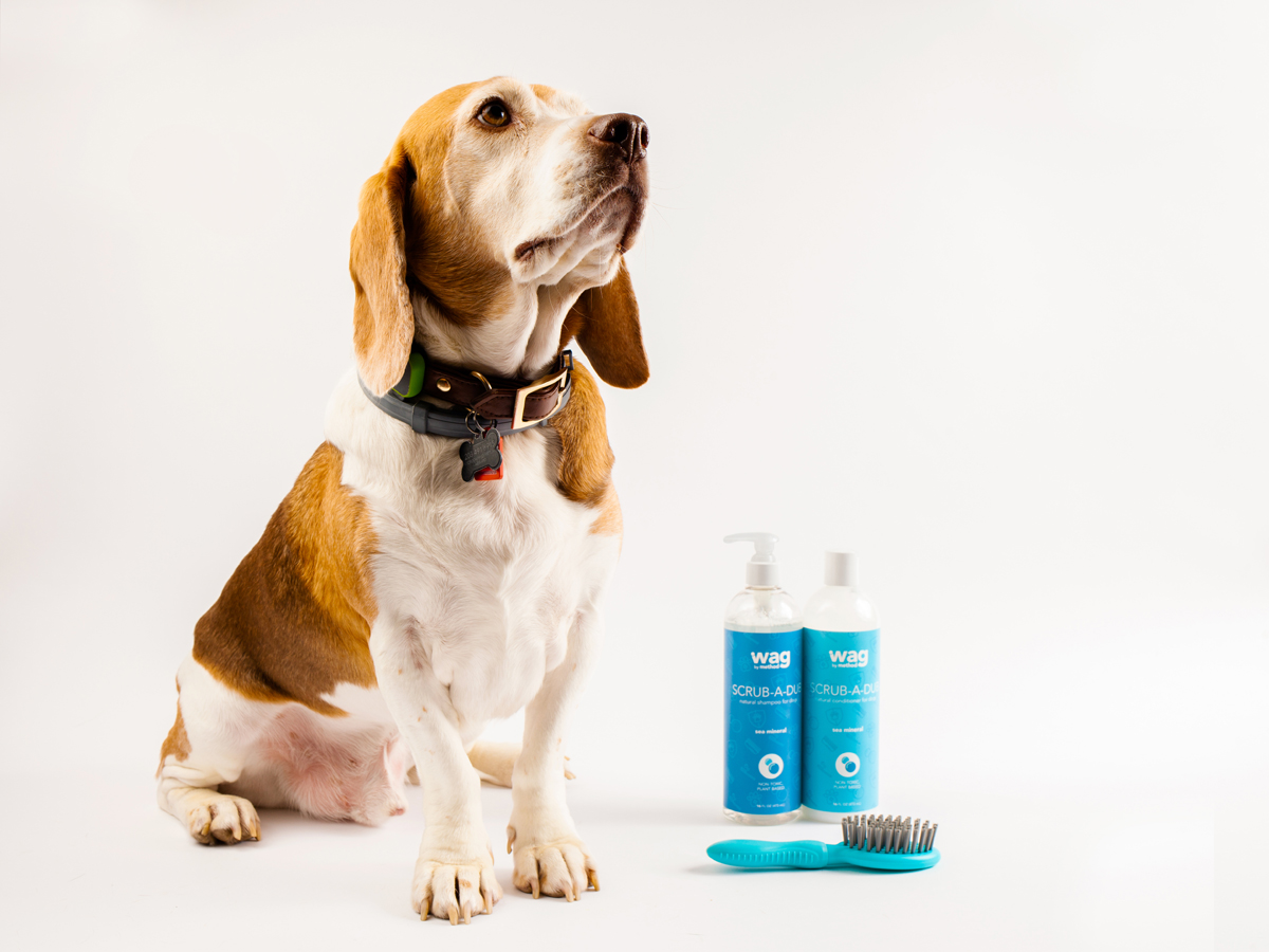 寵物包裝設(shè)計欣賞用品品牌包裝設(shè)計案例(圖6) 寵物包裝設(shè)計欣賞用品品牌包裝設(shè)計案例(圖6)