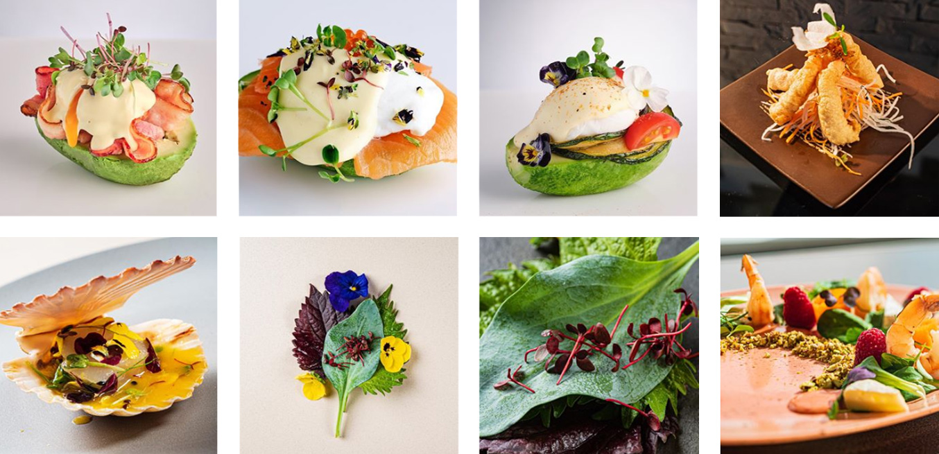 西安外賣品牌包裝設計(圖7) 西安外賣品牌包裝設計(圖7)