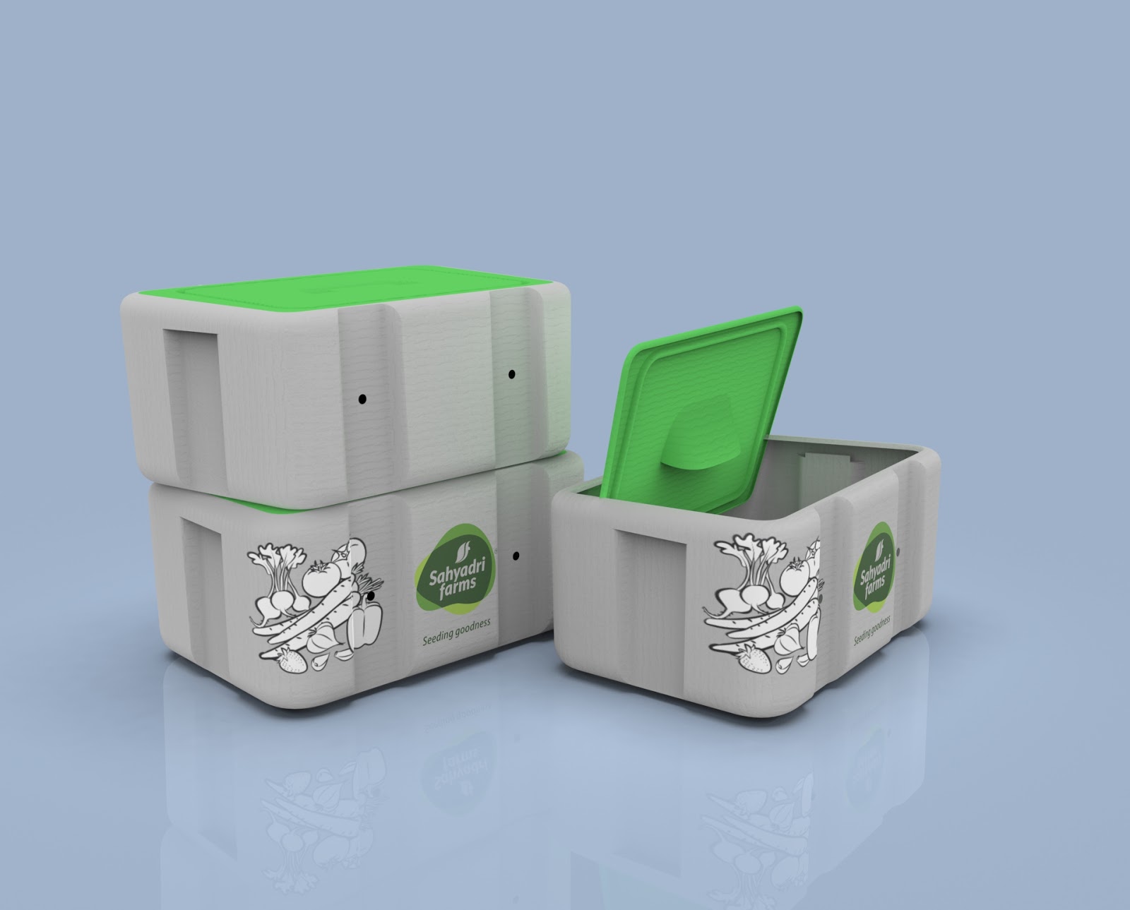 有機蔬菜外箱設計(圖1)