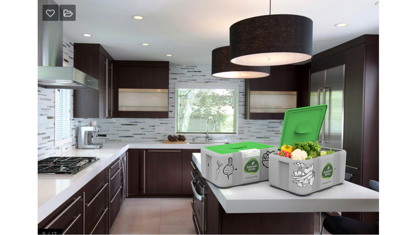 有機蔬菜外箱設計(圖5)