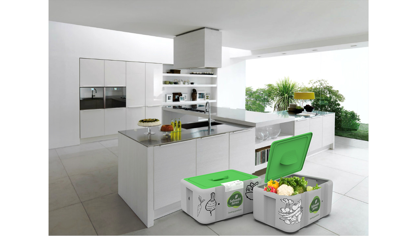 有機蔬菜外箱設計(圖4)