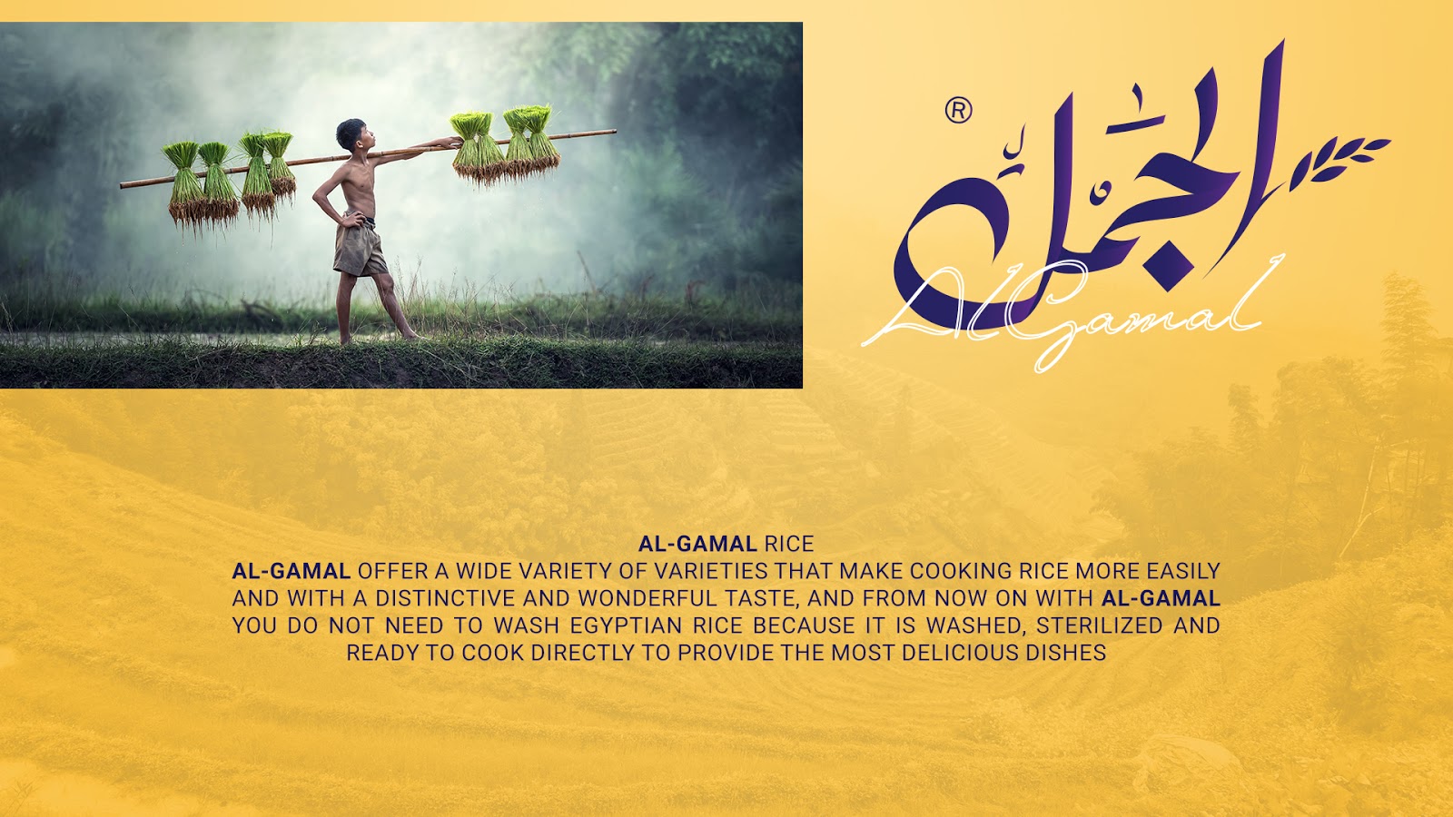 國(guó)外大米包裝設(shè)計(jì)欣賞(圖5)