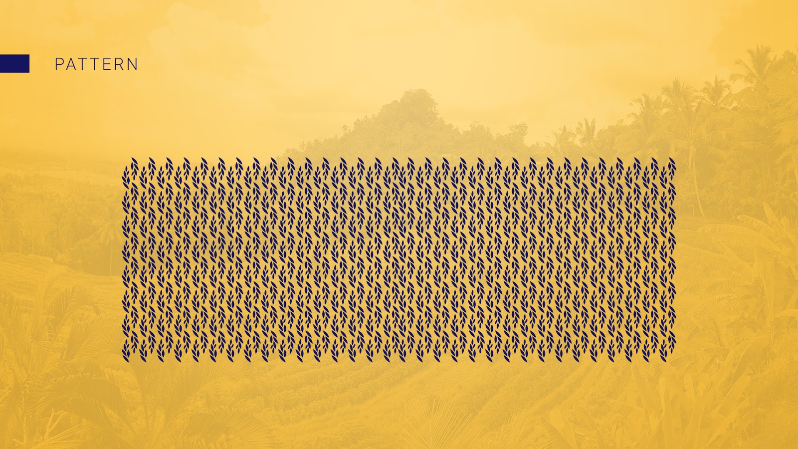 國(guó)外大米包裝設(shè)計(jì)欣賞(圖7)