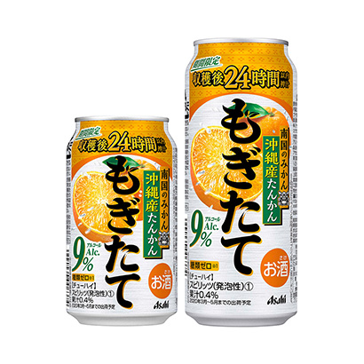 啤酒果啤包裝設計(圖2)