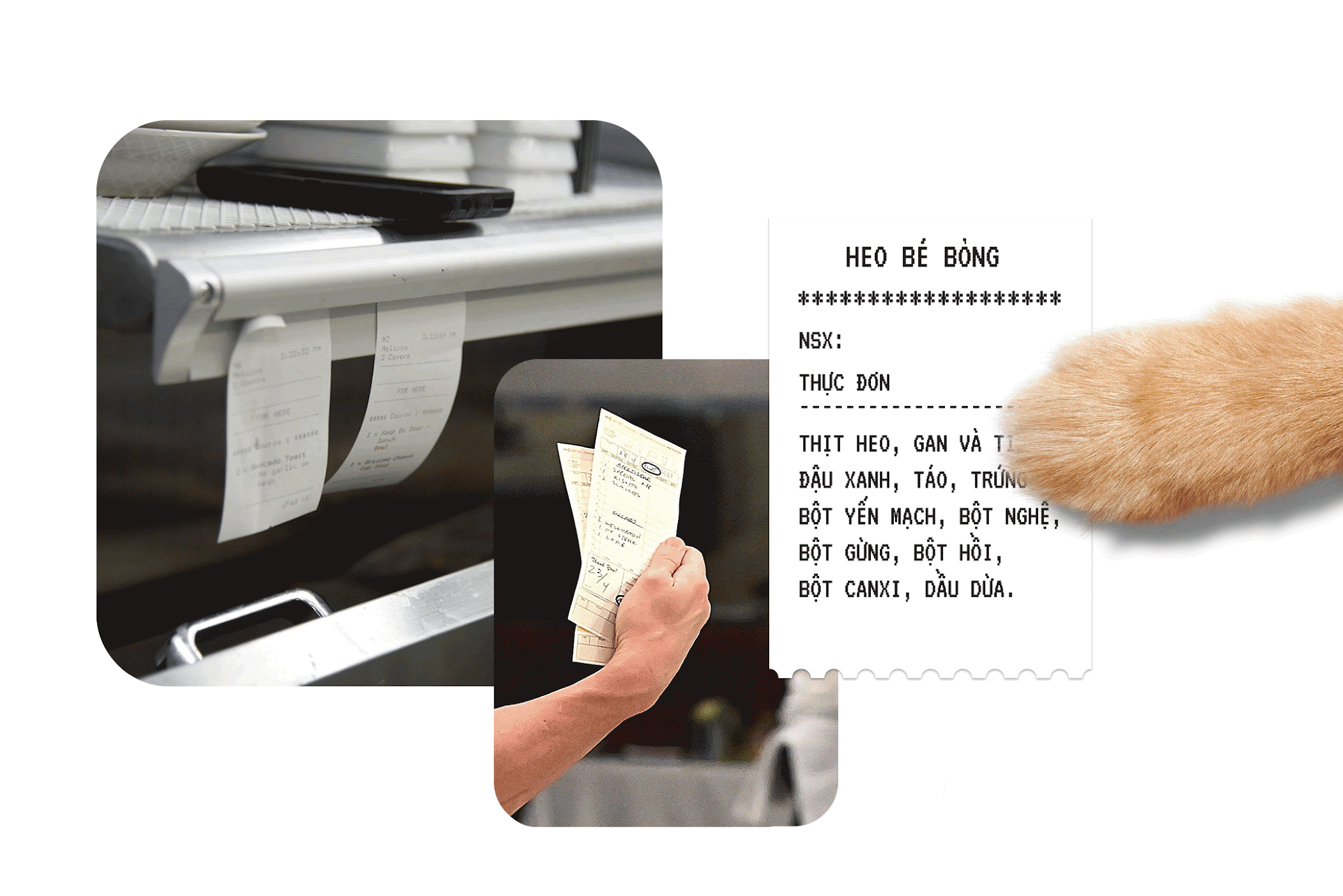 寵物包裝設計欣賞食品狗糧包裝設計欣賞貓糧包裝設計欣賞包裝設計全套(圖11)