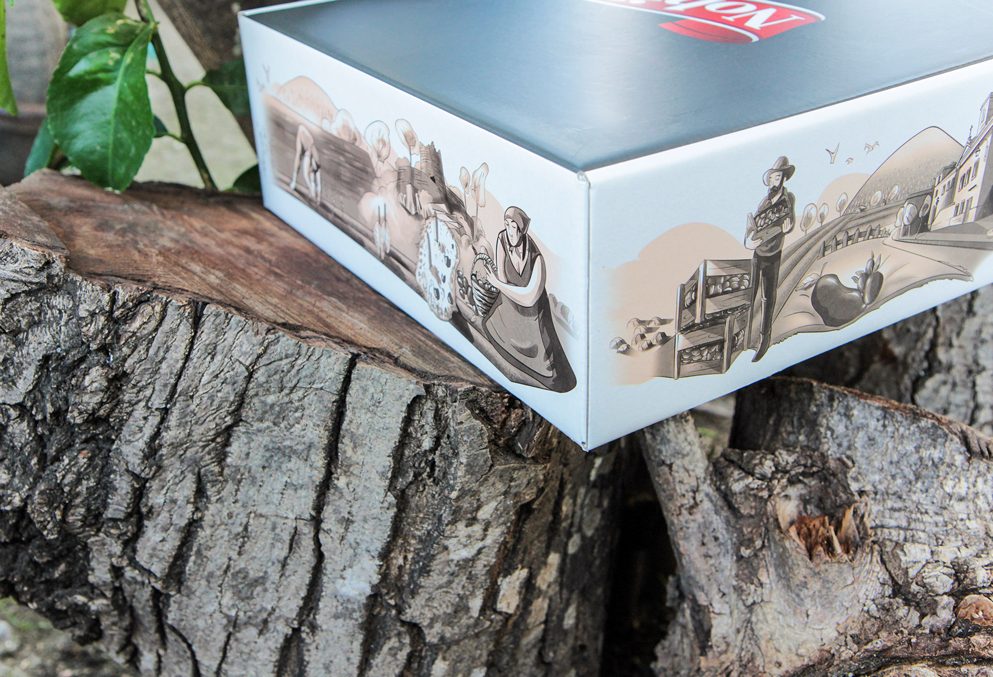 罐頭蜜餞食品包裝設計(圖5)