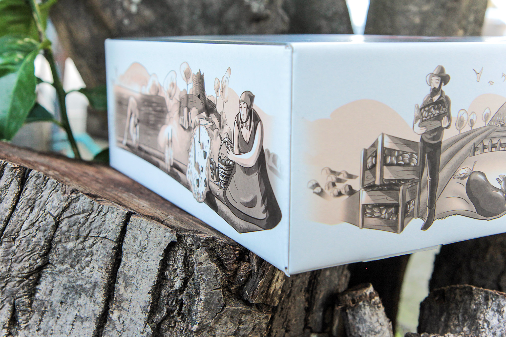 罐頭蜜餞食品包裝設計(圖7)