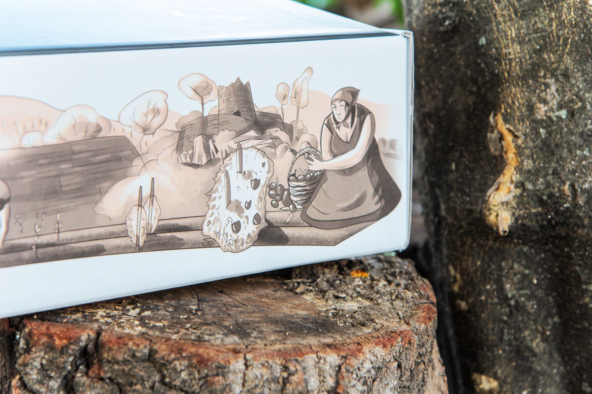 罐頭蜜餞食品包裝設計(圖8)