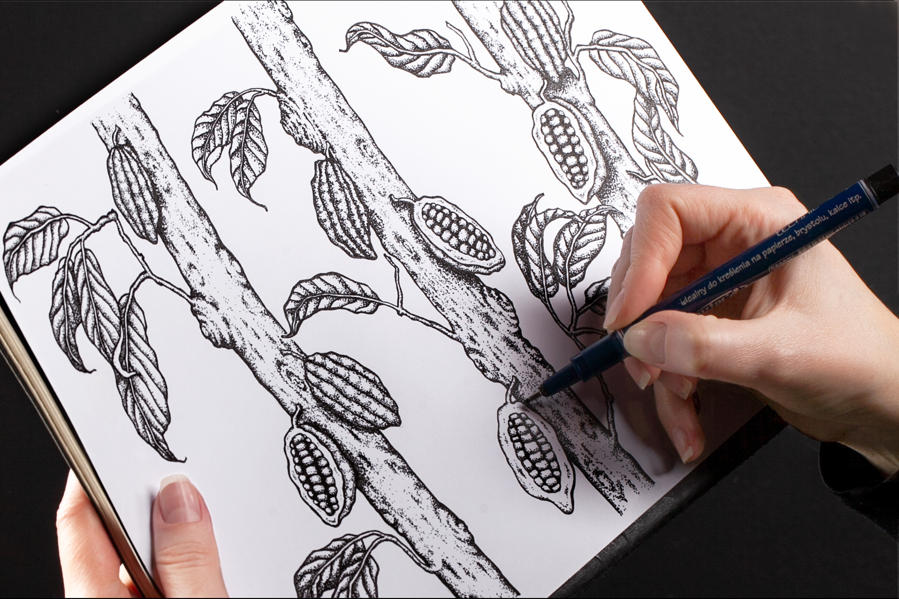 黑巧克力包裝設計(圖11) 黑巧克力包裝設計(圖11)