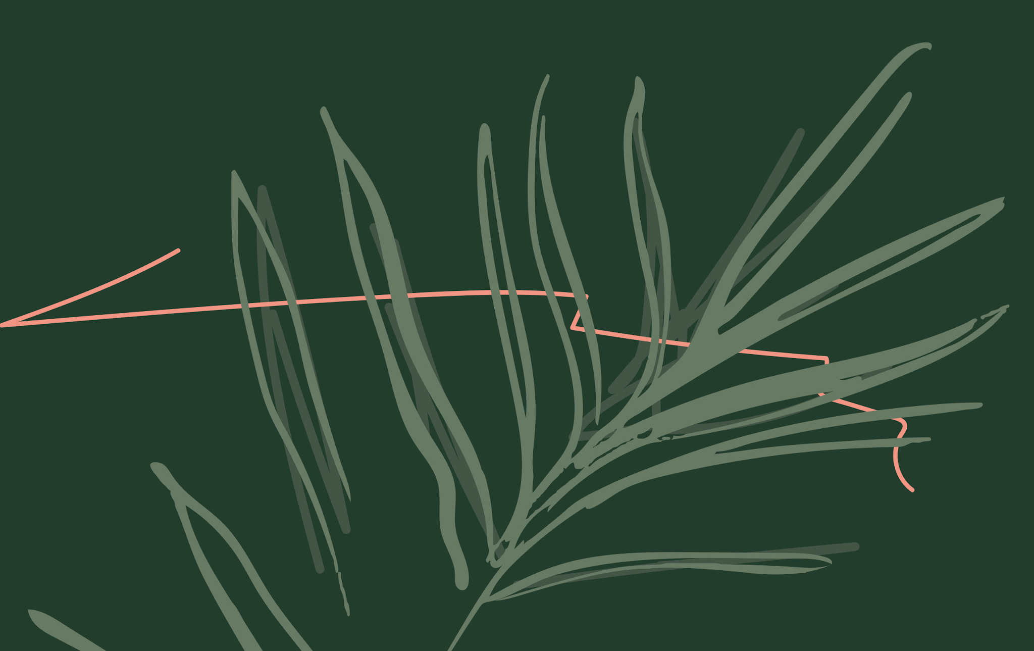 無殘留洗發(fā)水包裝設(shè)計(圖20) 無殘留洗發(fā)水包裝設(shè)計(圖20)