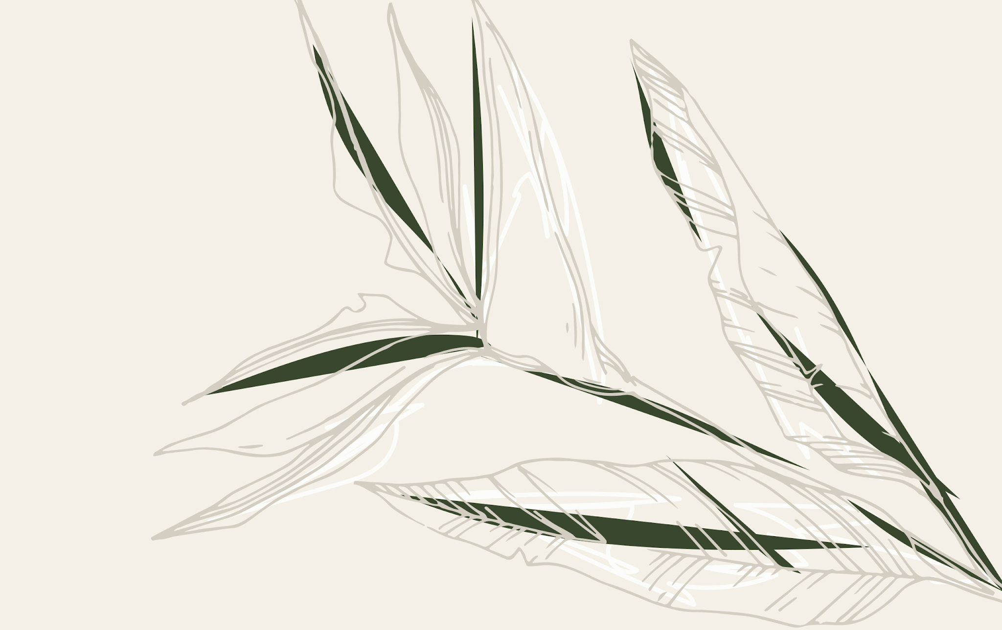 無殘留洗發(fā)水包裝設(shè)計(圖21) 無殘留洗發(fā)水包裝設(shè)計(圖21)