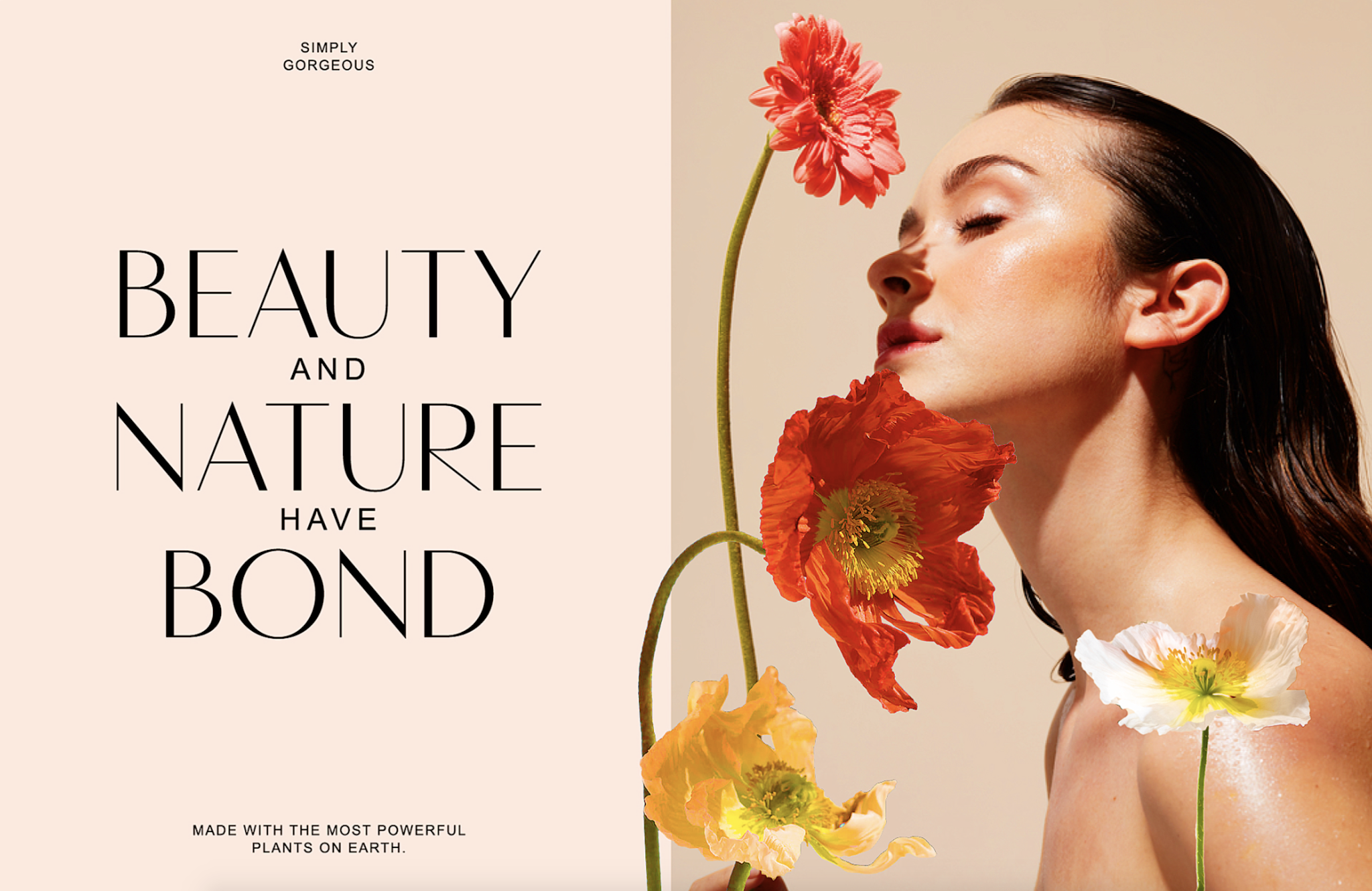 超級綻放化妝品包裝設計(圖13) 超級綻放化妝品包裝設計(圖13)