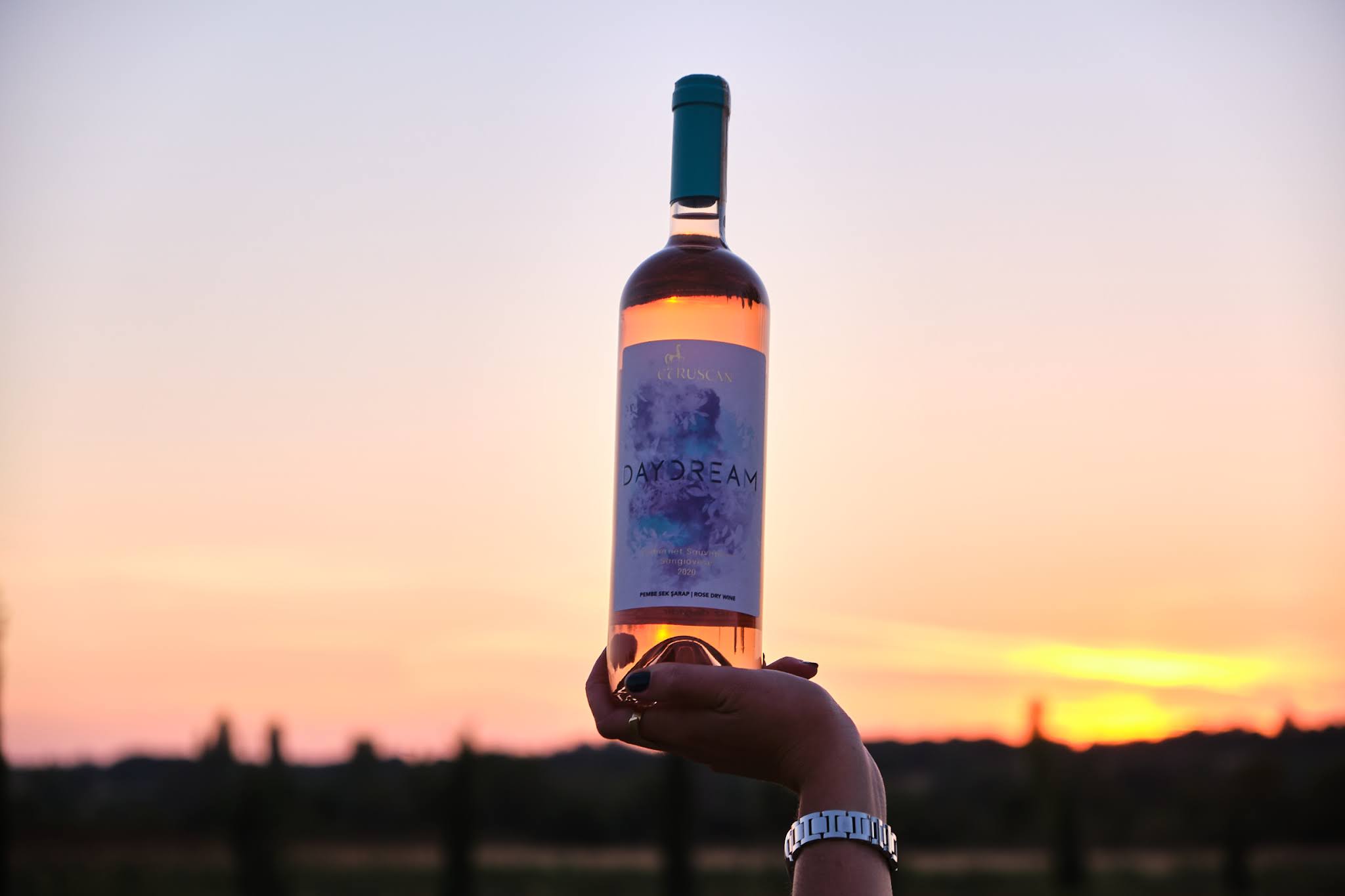 葡萄酒包裝設計簡約奢華(圖2)