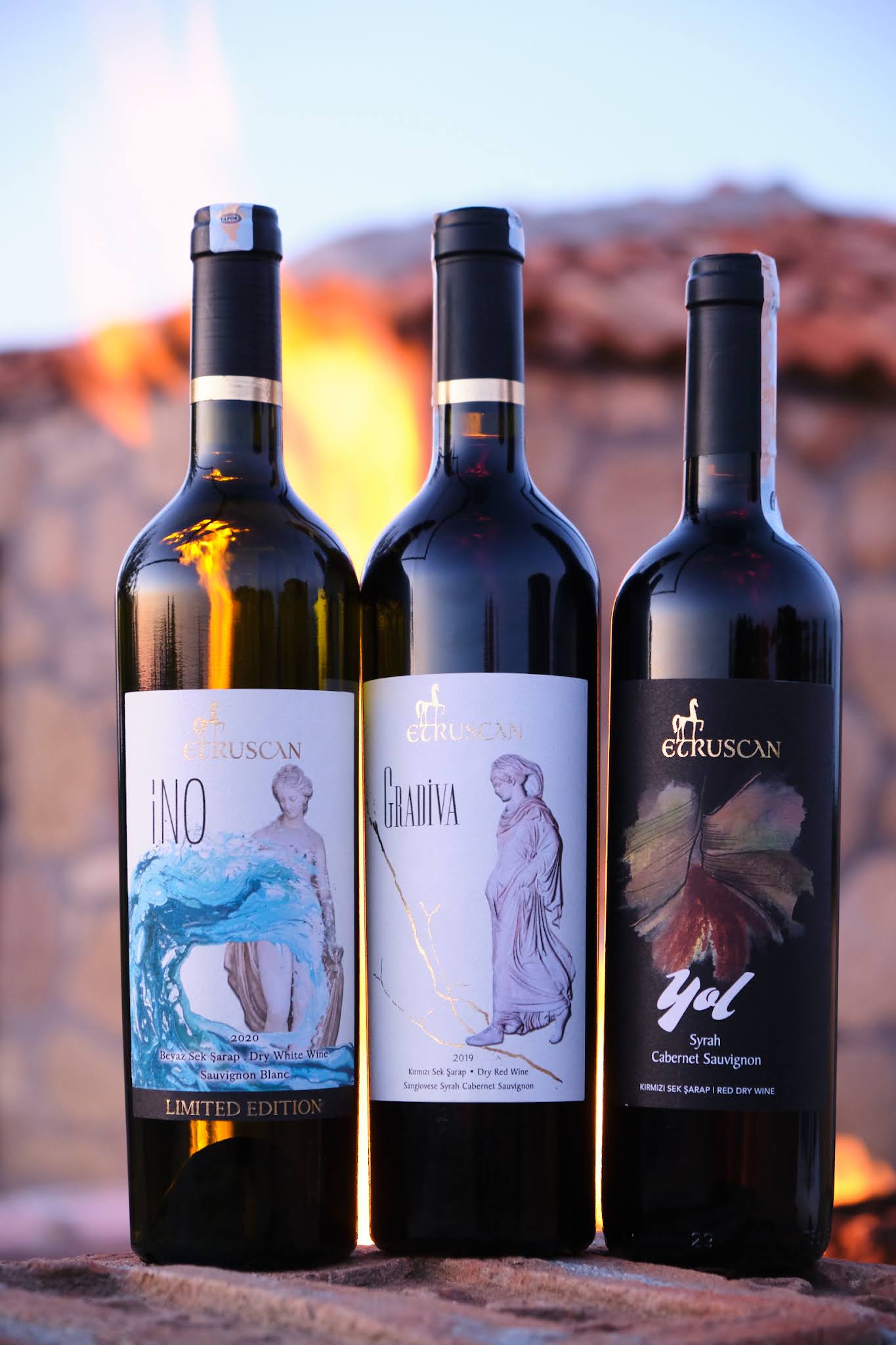 葡萄酒包裝設計簡約奢華(圖3)