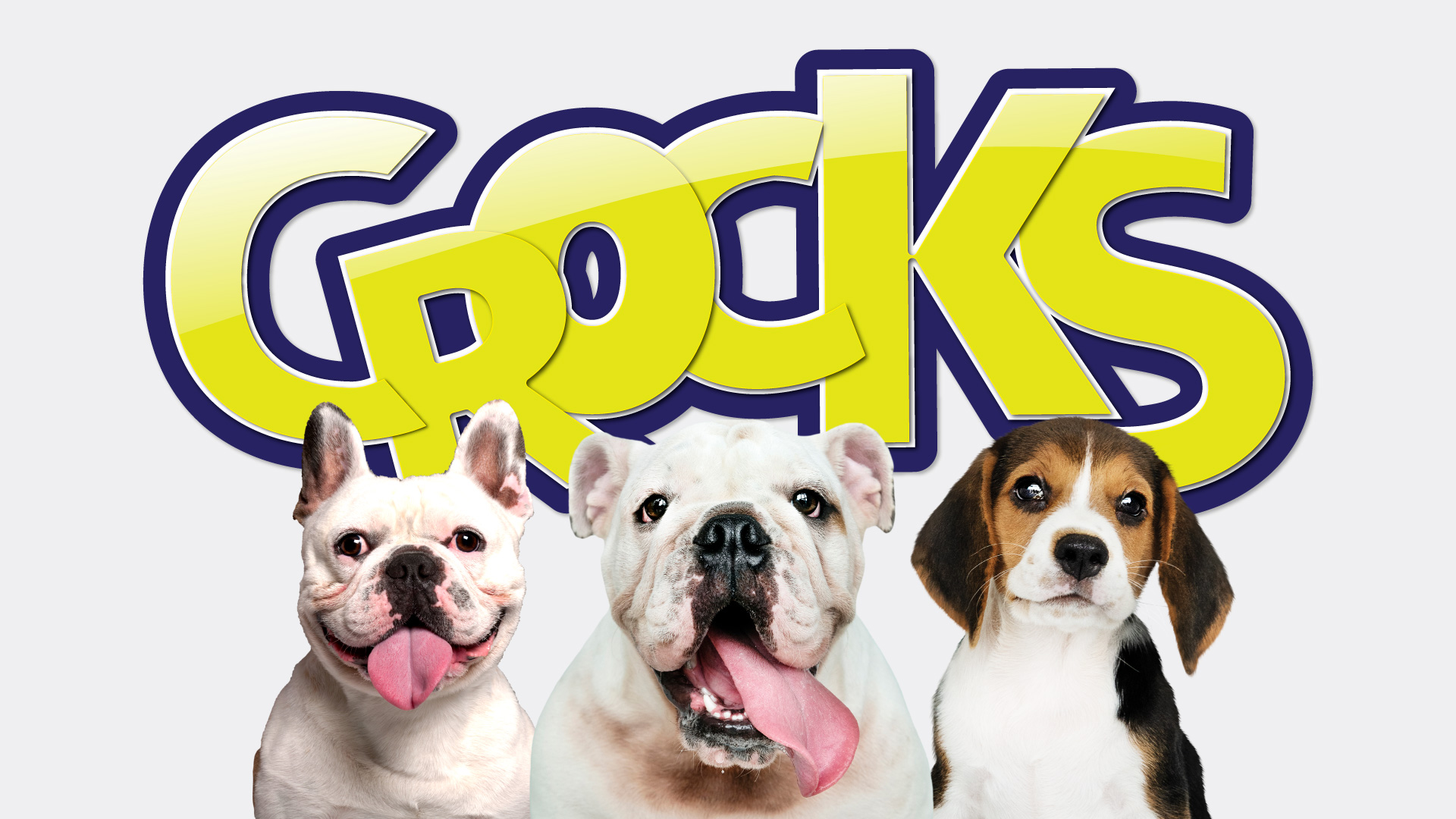 寵物包裝設計欣賞狗食品狗糧包裝設計欣賞包裝設計(圖4) 寵物包裝設計欣賞狗食品狗糧包裝設計欣賞包裝設計(圖4)