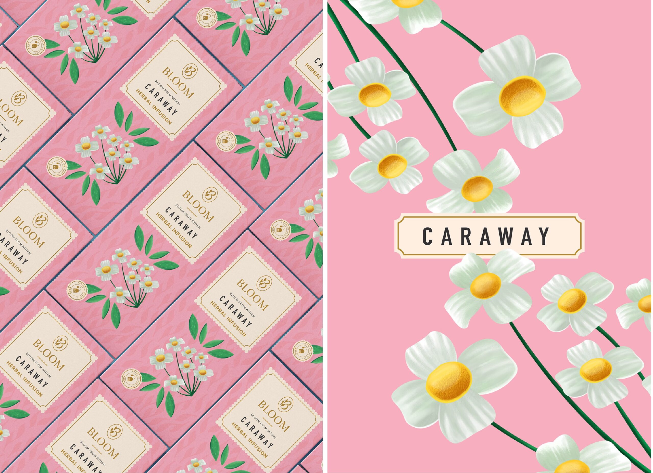 繪畫風格的草本茶包裝設計這樣做(圖3)