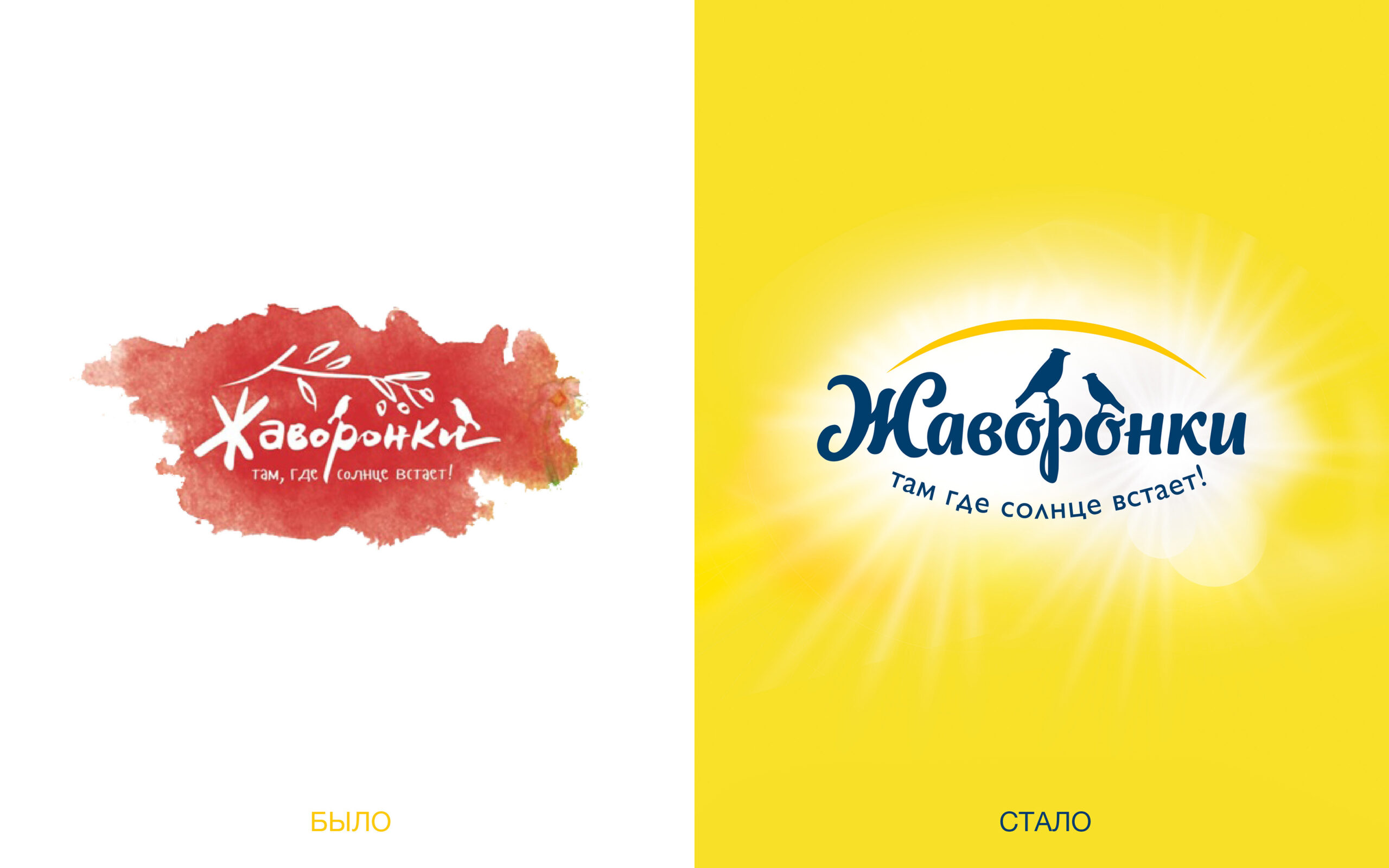 優質新鮮的盒裝奶酪包裝設計參考(圖5)