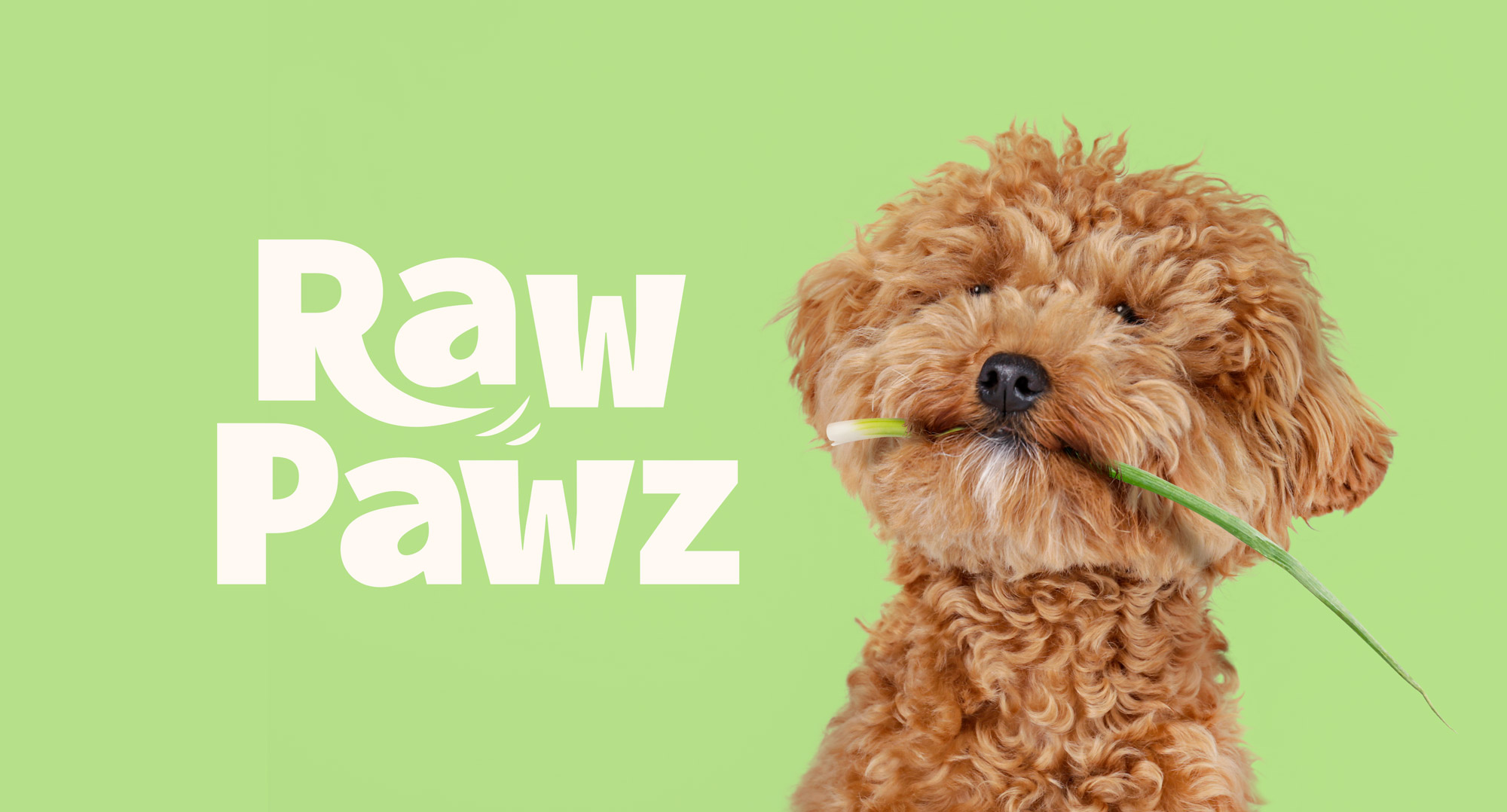 寵物包裝設(shè)計欣賞用品狗糧包裝設(shè)計欣賞包裝設(shè)計(圖1) 寵物包裝設(shè)計欣賞用品狗糧包裝設(shè)計欣賞包裝設(shè)計(圖1)