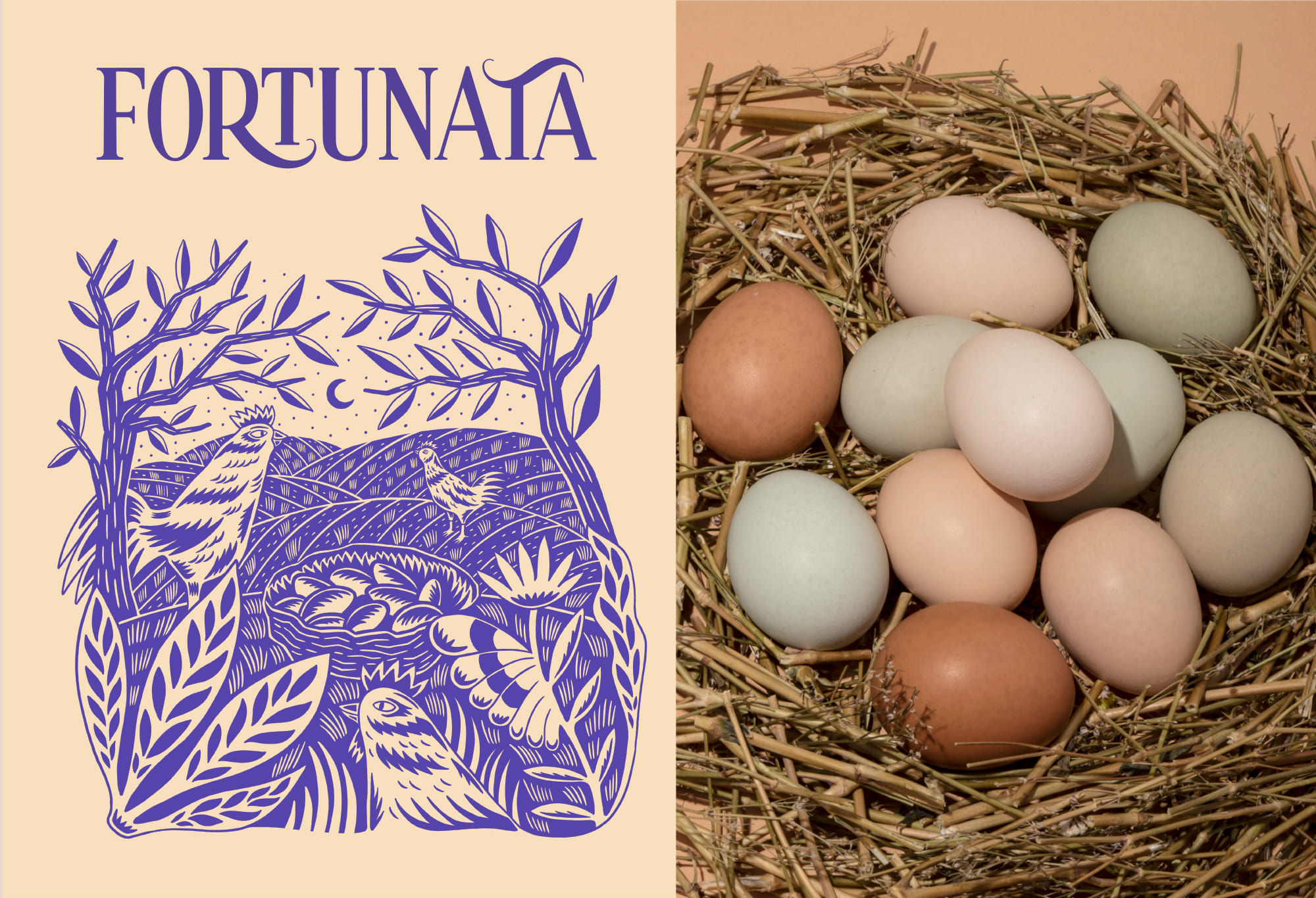 農產品雞蛋視覺包裝設計這樣做(圖5)