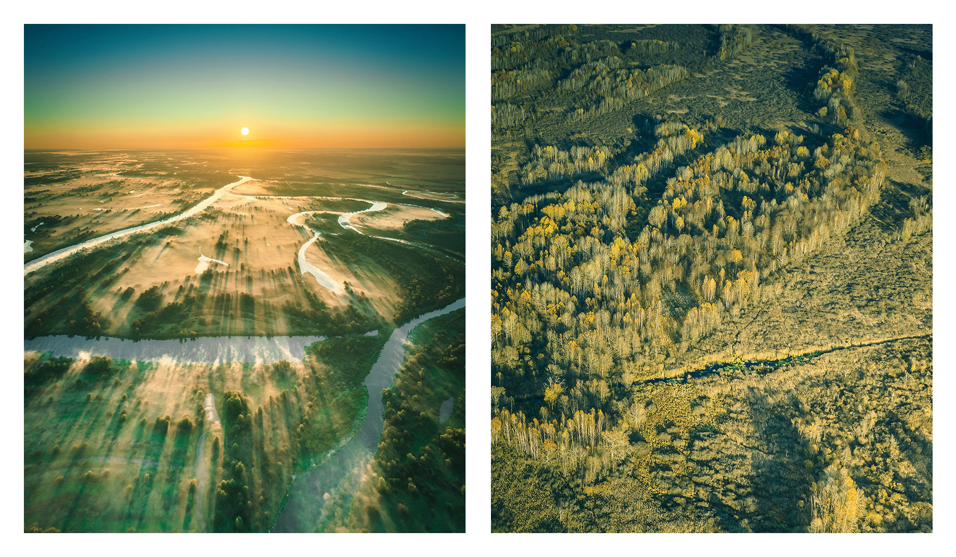 Frangula蜂蜜包裝設計(圖3)