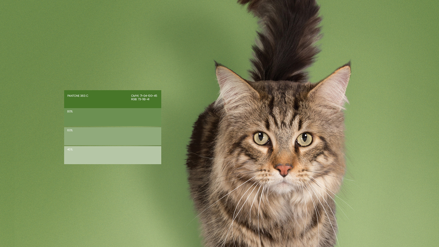 Ultima高端寵物包裝設(shè)計(jì)欣賞食品包裝這樣設(shè)計(jì)(圖3)