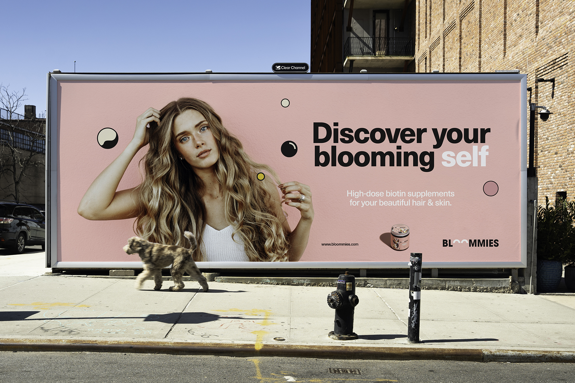 BLOOMIES頭發(fā)護(hù)理產(chǎn)品包裝設(shè)計(jì)(圖5)