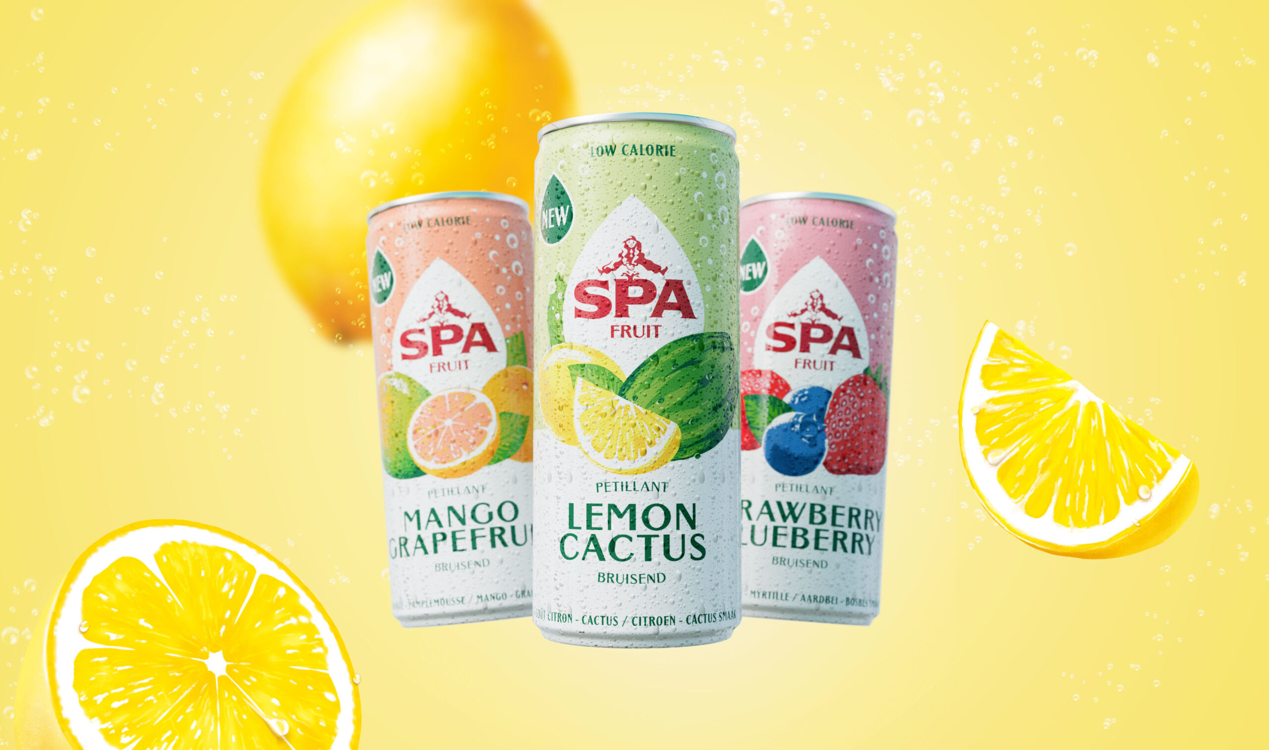 SPA純凈水品牌視覺包裝設計參考(圖10)