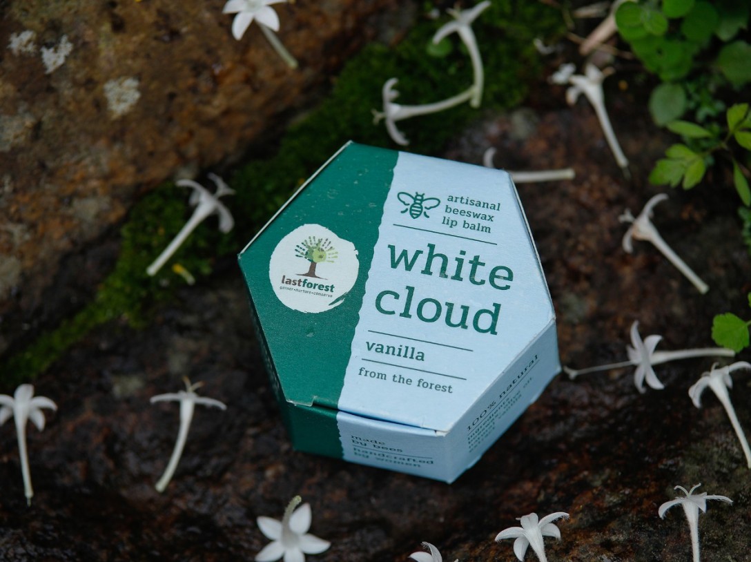 ?Last Forest 手工蜂蠟潤唇膏的包裝設計(圖2) ?Last Forest 手工蜂蠟潤唇膏的包裝設計(圖2)