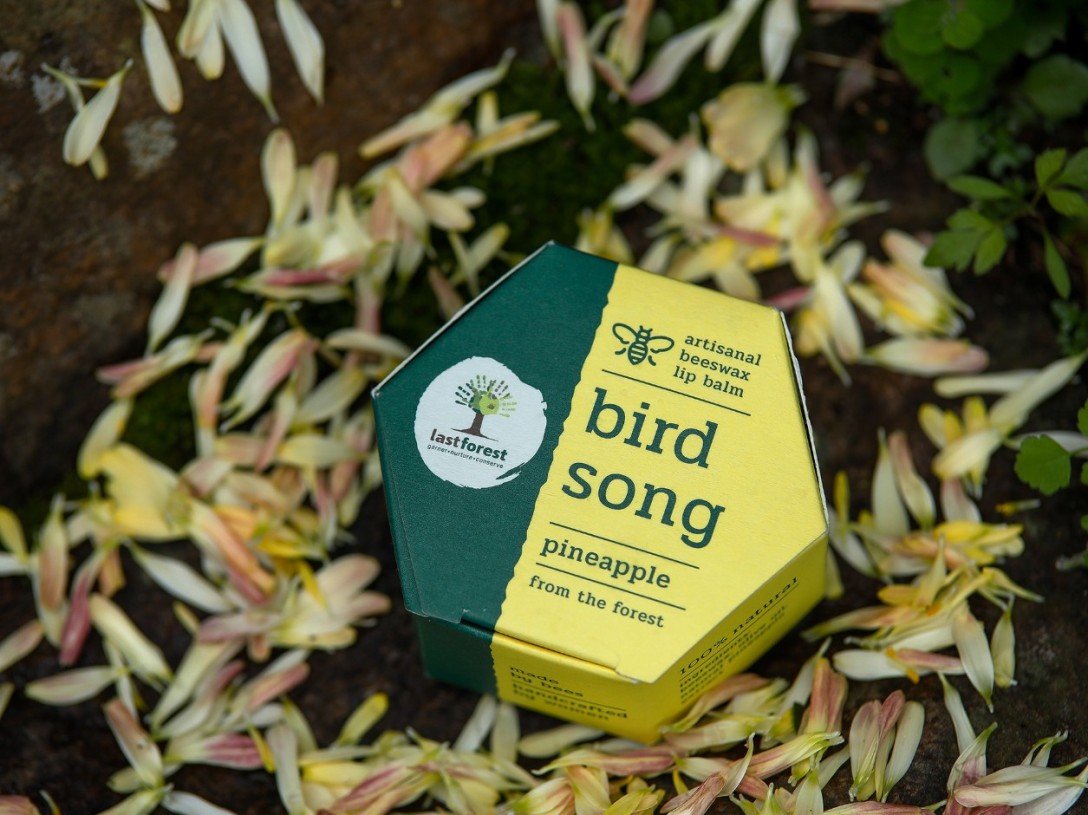 ?Last Forest 手工蜂蠟潤唇膏的包裝設計(圖3) ?Last Forest 手工蜂蠟潤唇膏的包裝設計(圖3)