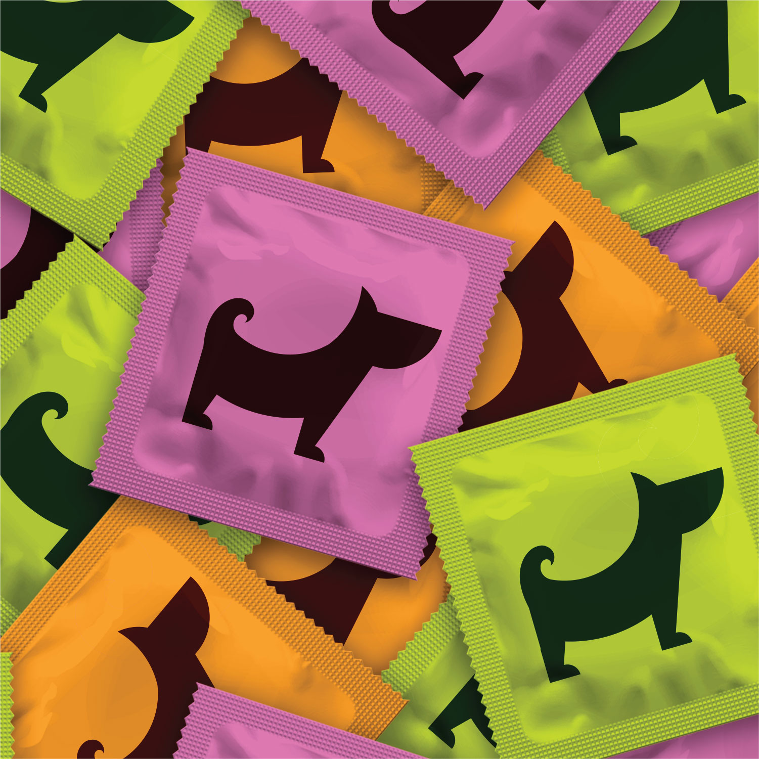 寵物包裝設計欣賞用品趣味包裝設計參考(圖4)