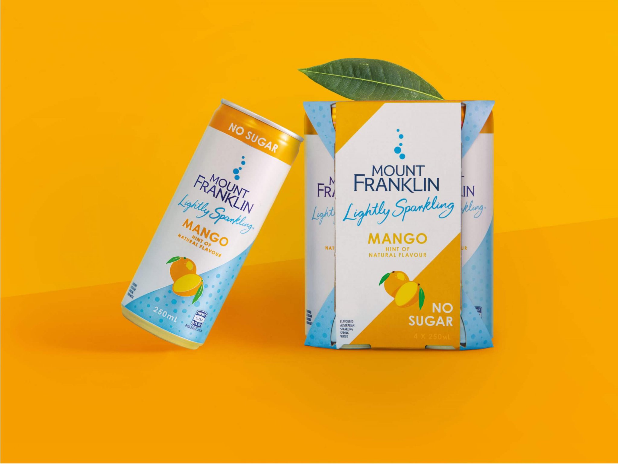 灌裝精釀啤酒飲料視覺包裝設計參考(圖7)